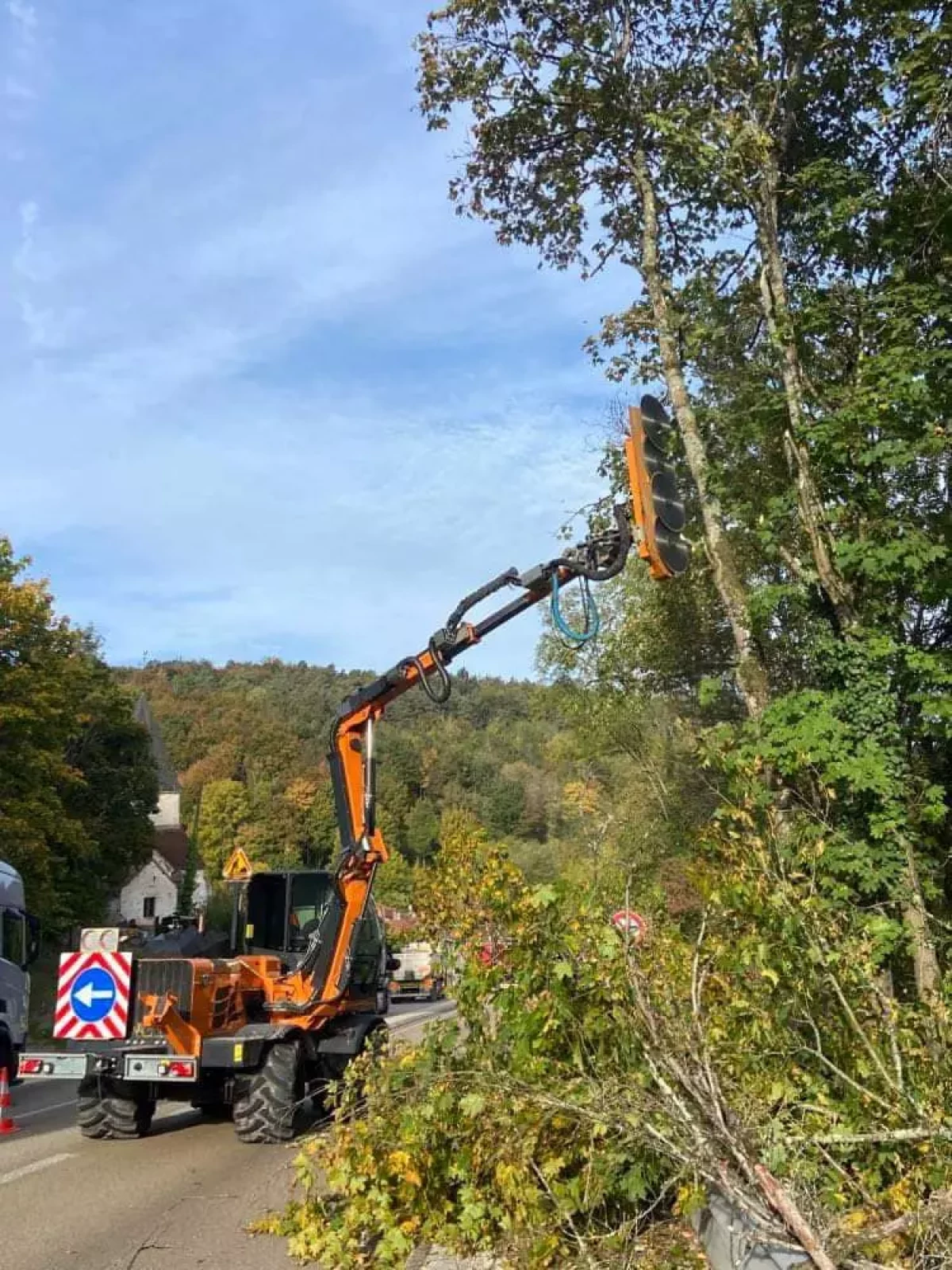 Élagage et abattage d'arbres Metz