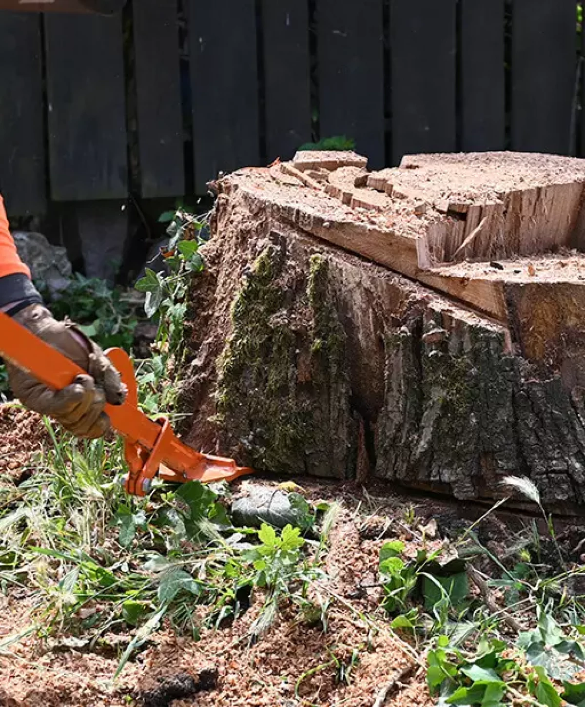 Rognage de souche Metz